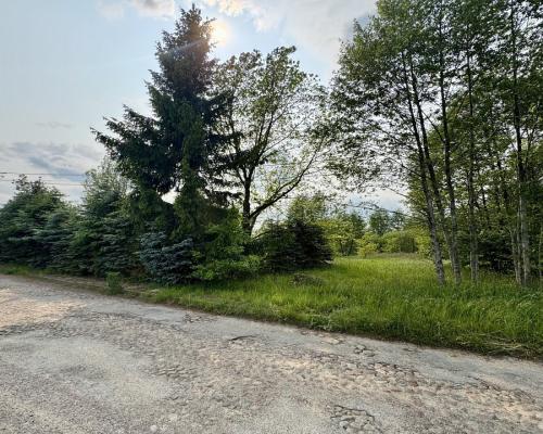 Działka w  Kosmatym Borku