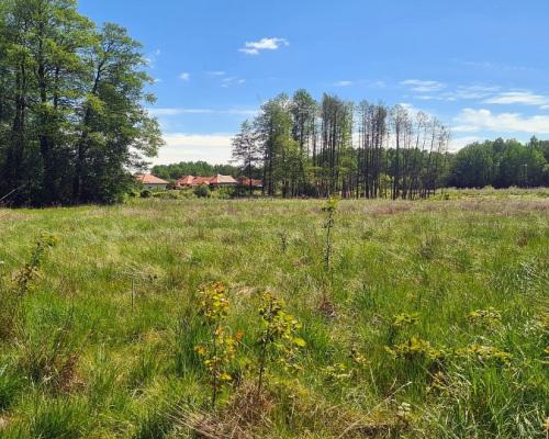 Zaścianki, działka deweloperska