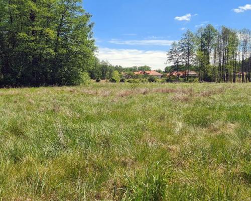 Zaścianki, działka deweloperska