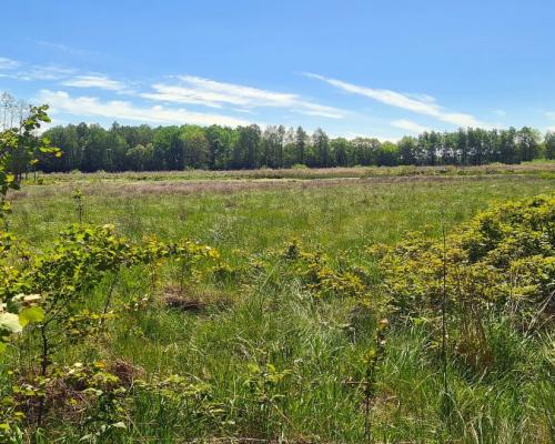 Zaścianki, działka deweloperska