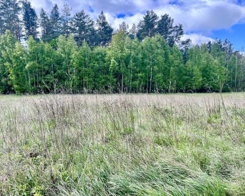 Działka budowlana blisko Sobolewa.