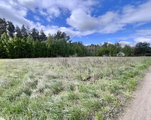 Działka budowlana blisko Sobolewa.