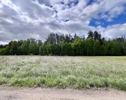 Działka budowlana blisko Sobolewa.