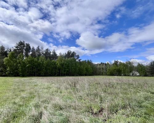 Działka budowlana blisko Sobolewa.