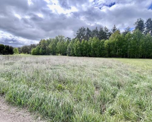 Działka budowlana blisko Sobolewa.
