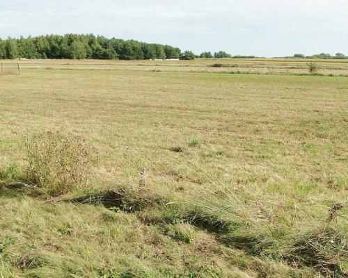 Działka budowlana 1500 m2, gm. Juchnowiec