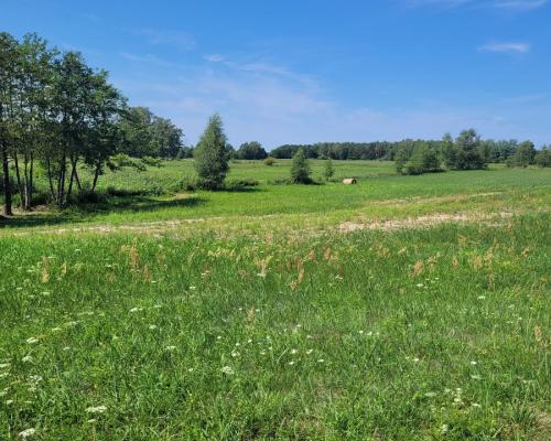 Jezioro, strefa ciszy, piękne widoki.