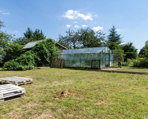 Ogródek działkowy Mickiewicza