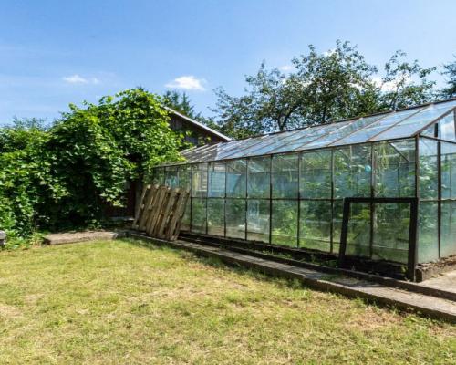 Ogródek działkowy Mickiewicza