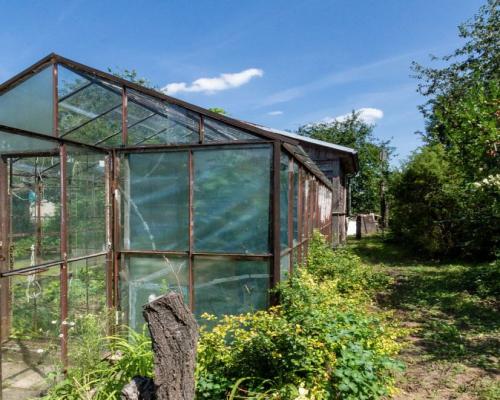 Ogródek działkowy Mickiewicza