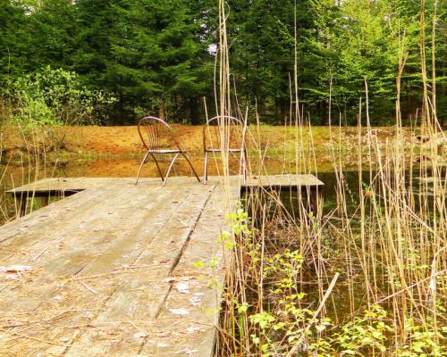 Działka rekreacyjno-budowlana 0,8 ha, pod miastem