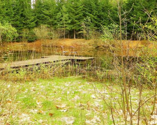 Działka rekreacyjno-budowlana 0,8 ha, pod miastem