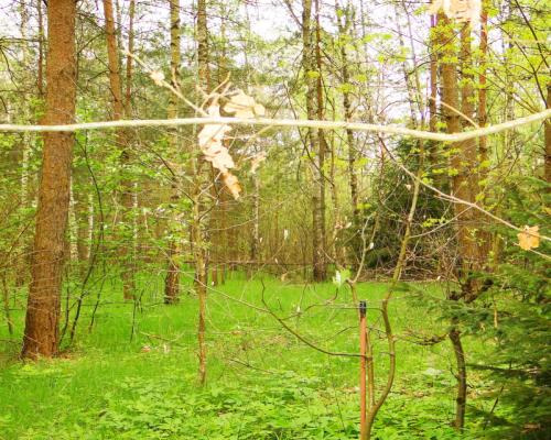 Działka rekreacyjno-budowlana 0,8 ha, pod miastem