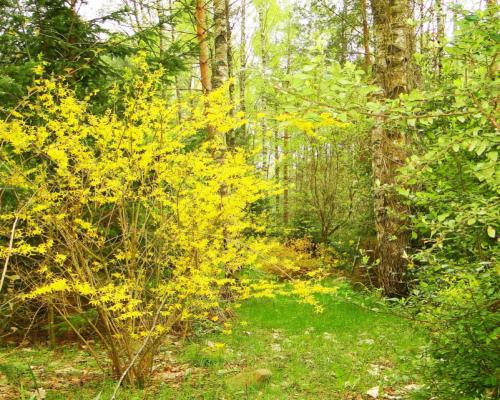 Działka rekreacyjno-budowlana 0,8 ha, pod miastem