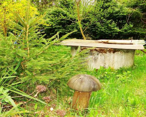 Działka rekreacyjno-budowlana 0,8 ha, pod miastem