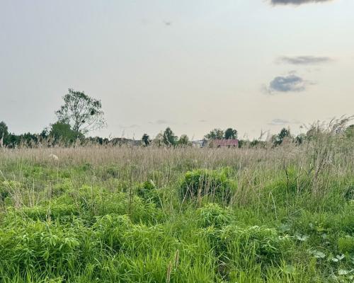 Działka w Nowodworcach