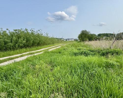 Działka w Nowodworcach