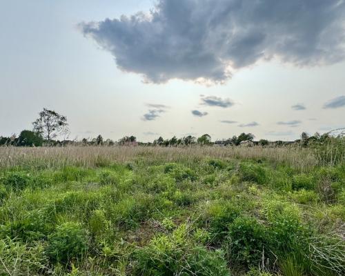 Działka w Nowodworcach