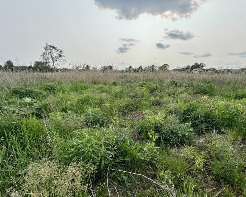 Działka w Nowodworcach