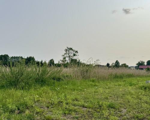 Działka w Nowodworcach