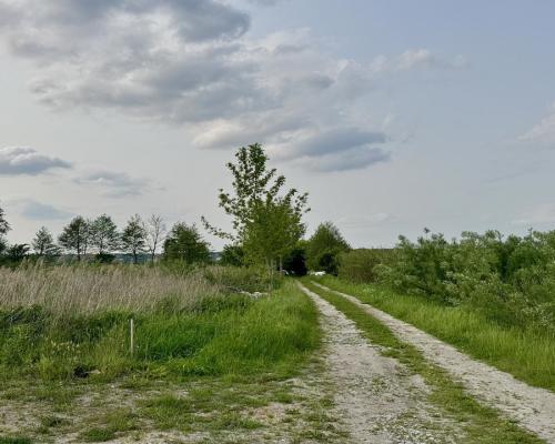 Działka w Nowodworcach