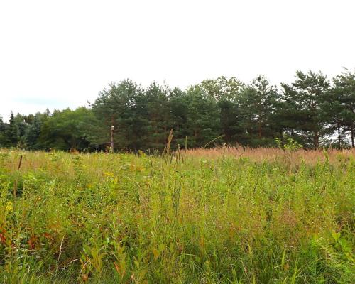 Działka budowlana pod Suwałkami