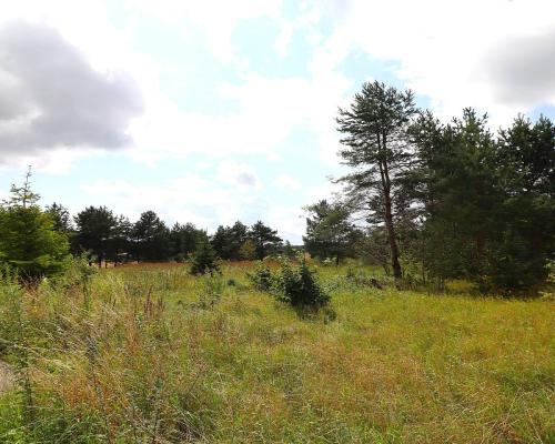 Działka budowlana pod Suwałkami