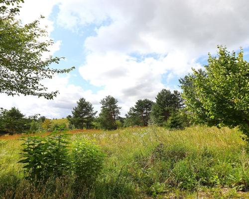 Działka budowlana pod Suwałkami