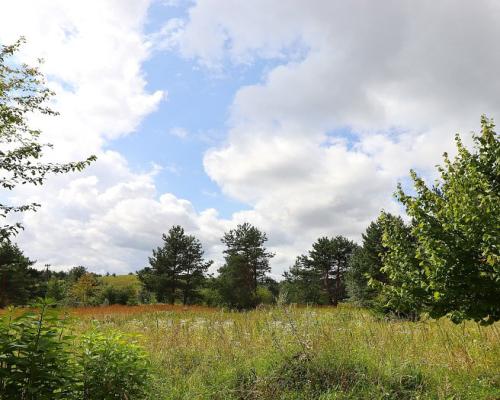 Działka budowlana pod Suwałkami