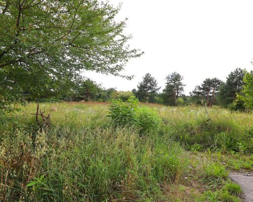 Działka budowlana pod Suwałkami