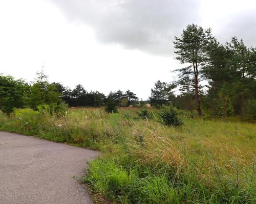 Działka budowlana pod Suwałkami