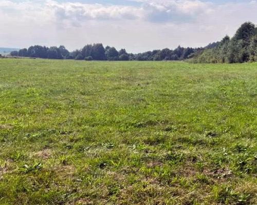 Działka rolno-budowlana 2533 m2, Studzianki