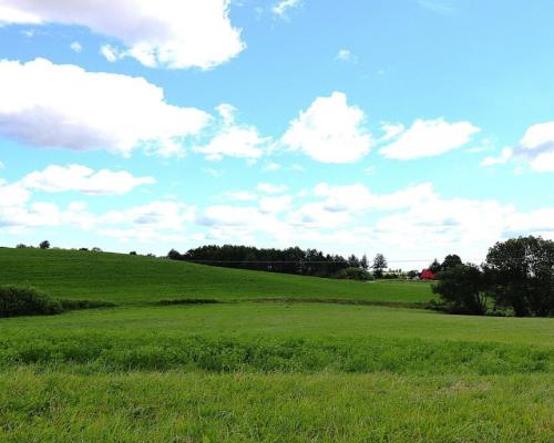Działka rolno budowlana gmina Rutka-Tartak