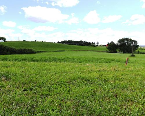 Działka rolno budowlana gmina Rutka-Tartak