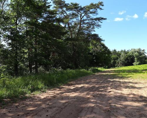 Działka budowlana na Mazurach Rożyńsk Wielki