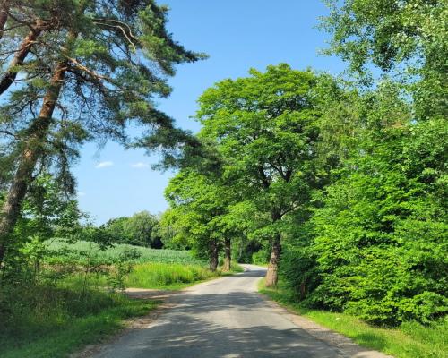 Mazury, jezioro Garbas, duża działka.