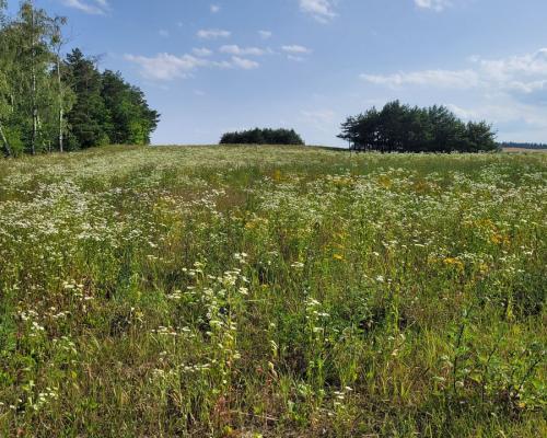 Mazury, jezioro Garbas, duża działka.