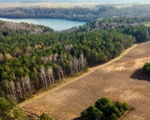 Mazury, jezioro Garbas, duża działka.