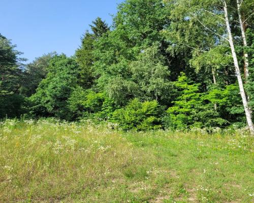 Mazury, jezioro Garbas, duża działka.