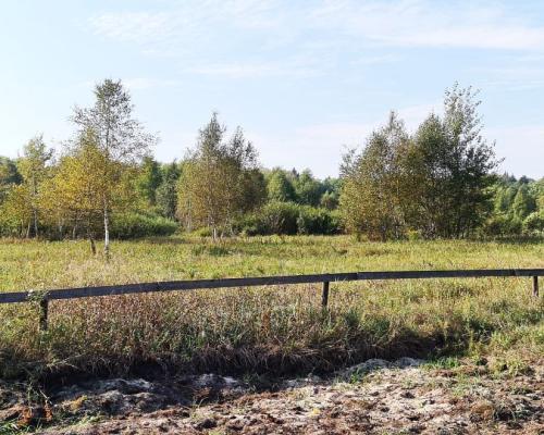 Ciasne. Działka budowlana 5100 m2.