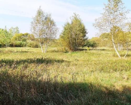 Ciasne. Działka budowlana 5100 m2.