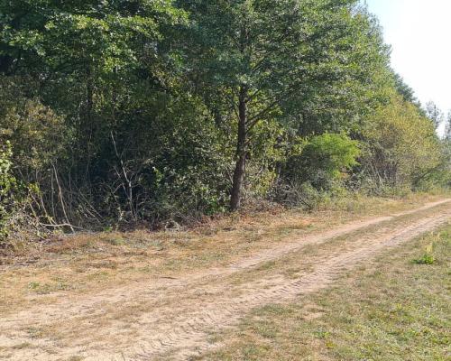 Ciasne. Działka budowlana 5100 m2.