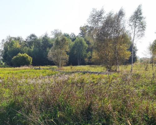 Ciasne. Działka budowlana 5100 m2.