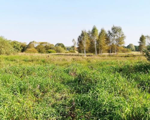 Ciasne. Działka budowlana 5100 m2.