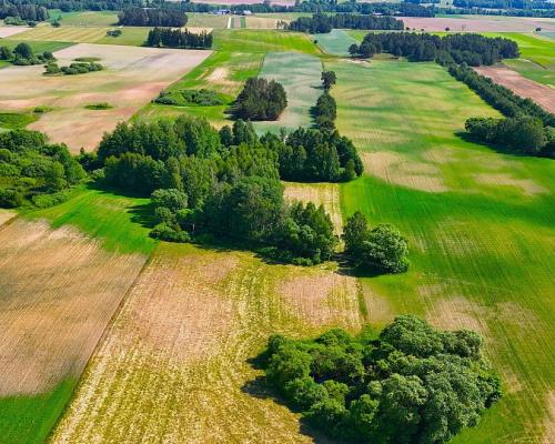 Działka nad jeziorem