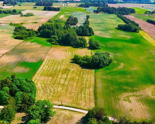 Działka nad jeziorem