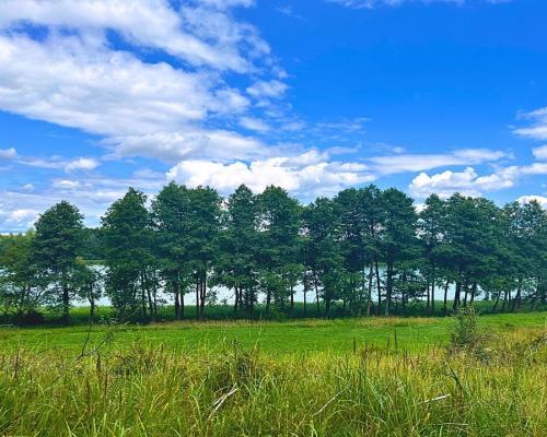 Działka budowlana blisko mazurskiego jeziora..