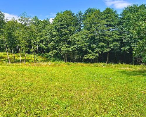 Działka budowlana blisko mazurskiego jeziora..