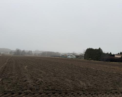 Działka Inwestycyjna 9256 m2.