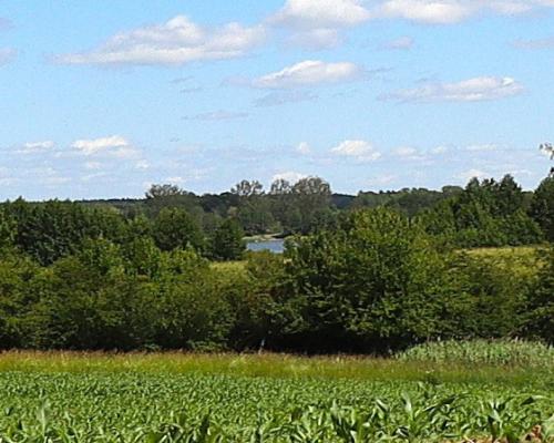 Działka budowlana na Mazurach Rożyńsk Wielki